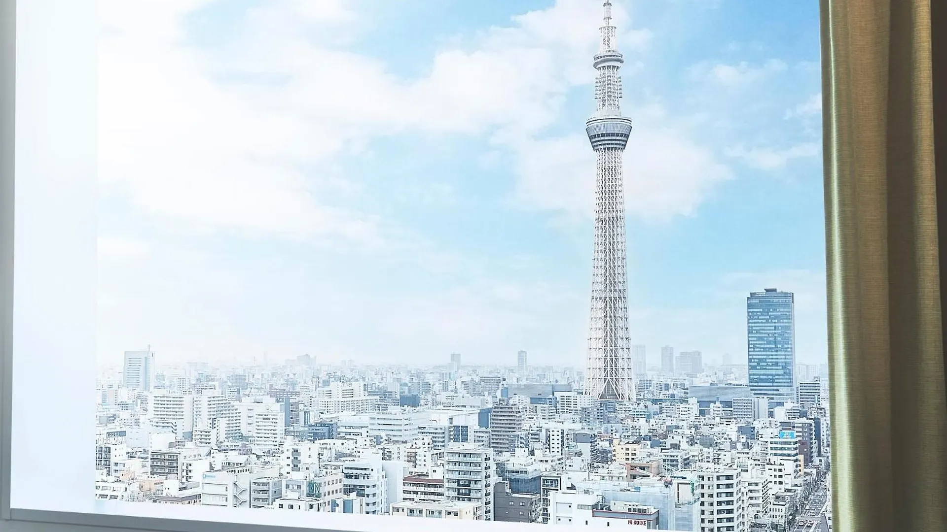 Lotte City Hotel Kinshicho Tokyo