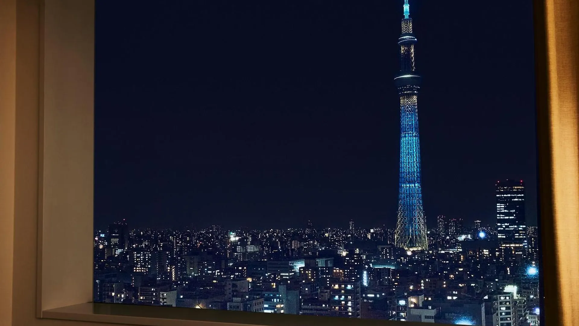 Lotte City Hotel Kinshicho Tokyo