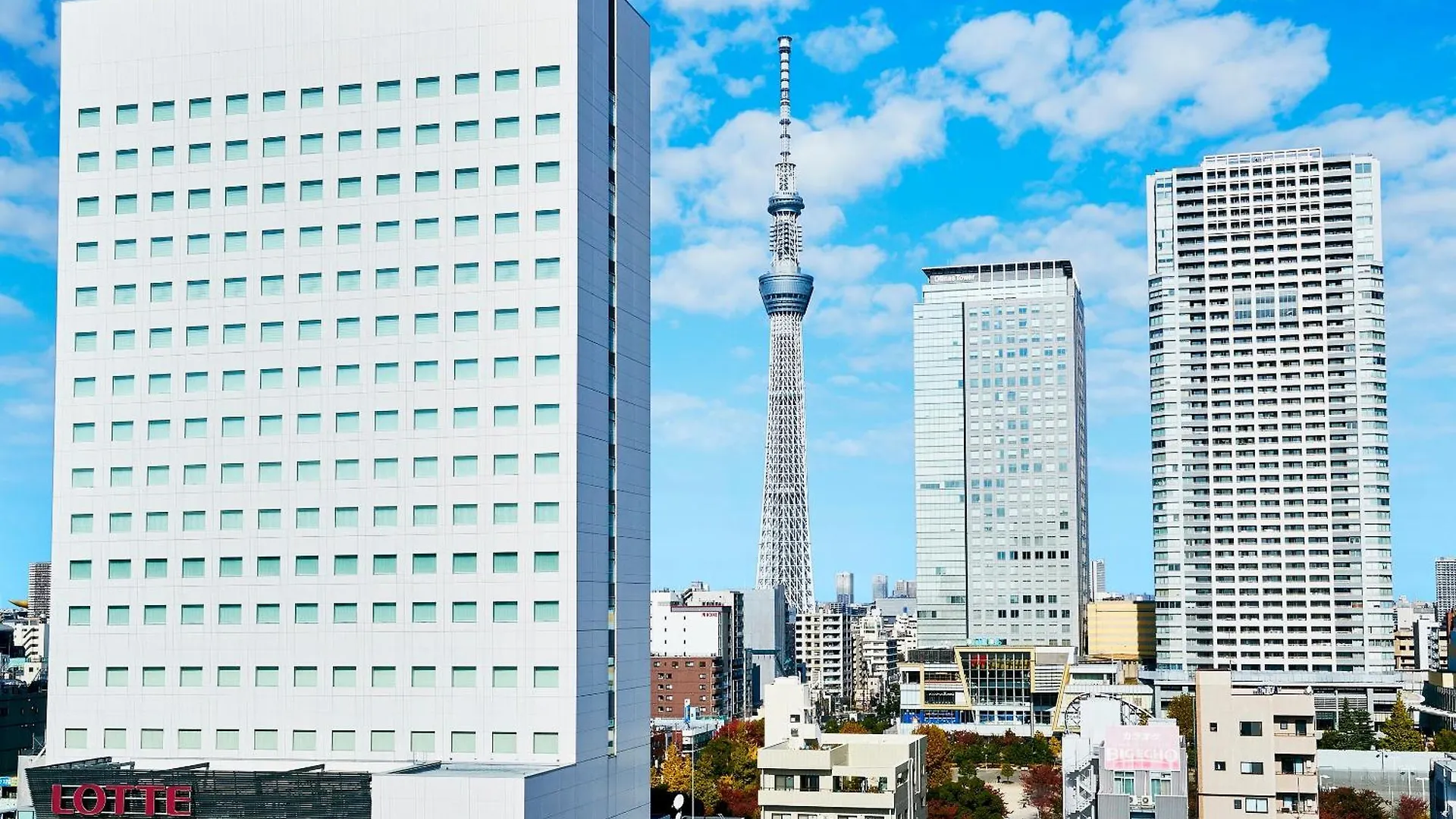 Lotte City Hotel Kinshicho Tokyo