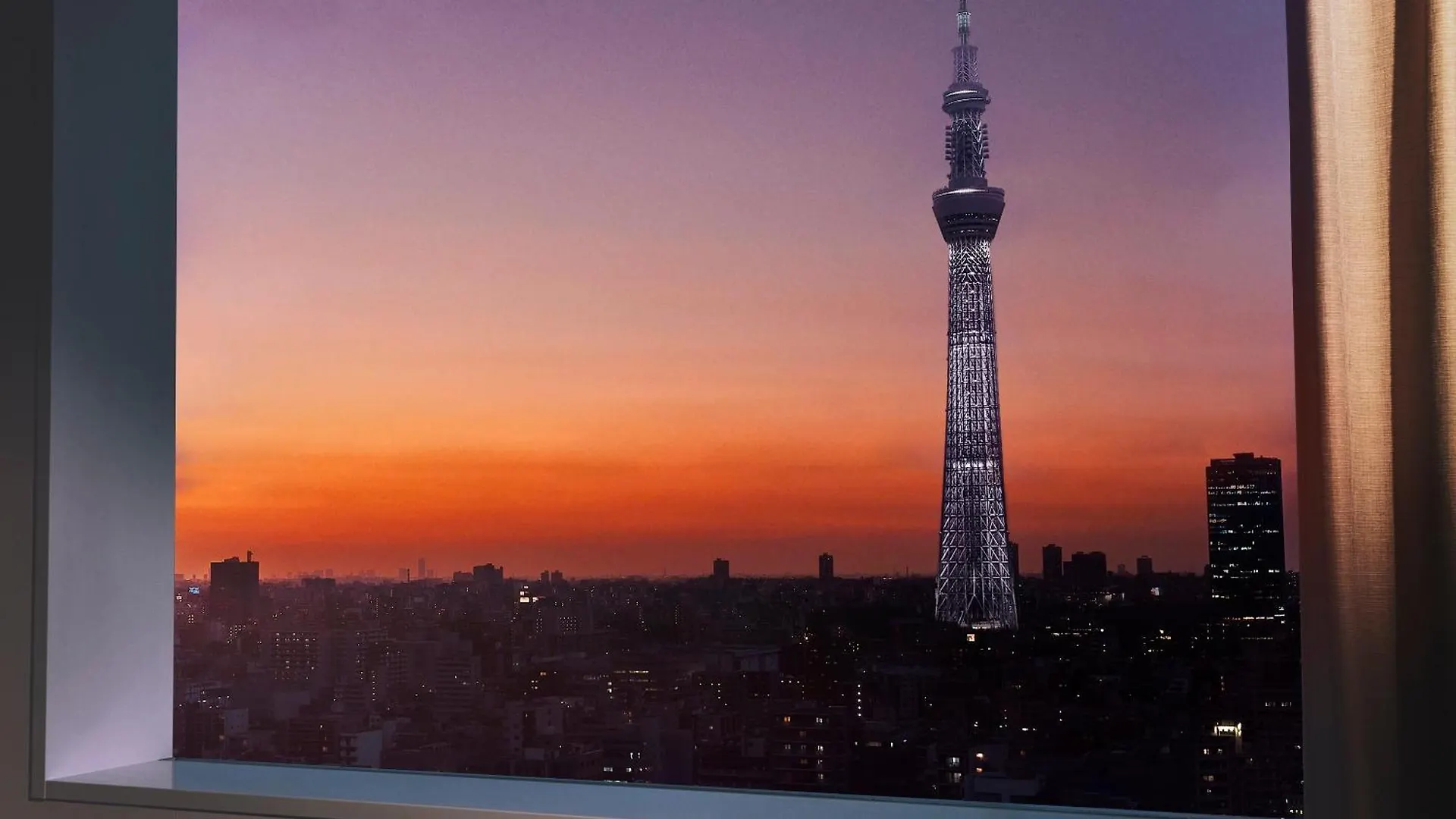 Lotte City Hotel Kinshicho Tokyo
